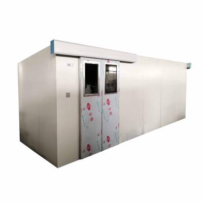 China Cleanroom Entrance Sale Air Shower Room Clean Room Hot Air Shower to Philippines for sale