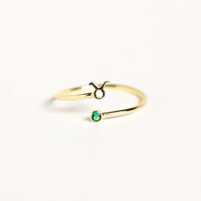 China Fashionable Environmental Friendly Constellation Jewelry Gold Plated 925 Sterling Silver 12 Zodiac Sign Ring With Birthstone for sale