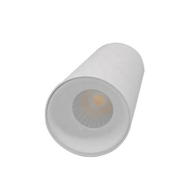 China Modern high quality aluminum Ra90 24V Dali DMX Loxone PWM dimming dali cylinder adjustable white dimmable led downlight compatible for sale