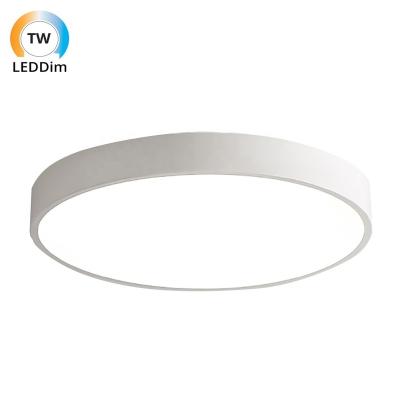 China Modern DC 24V 2000K-6000K Dim LED To Heat Dimmable CCT 300mm 18W Ra90 Round Dimmable Outdoor Mounted Ceiling Light for sale