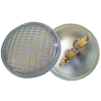 China LANDSCAPE 10-30V DC 50W 100W Halogen Replacement 160 Degree Spot 5W or 9W LED PAR36 Flood Light for sale