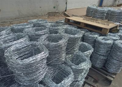 China Electro Galvanized Barbed Wire Double Strand Silver Color Free Sample for sale