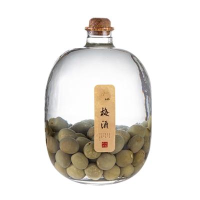 China 10 Catties Wine Jar Polymer Cork Sealed Glass Special Empty Bottle For Wine Brewing Factory Direct Selling Wine Jar for sale