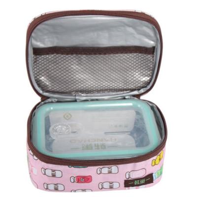 China New Design Outdoor Picnic Lunch Box Insulated Folding Foods Cooler Whole Bag Eco - Friendly for sale